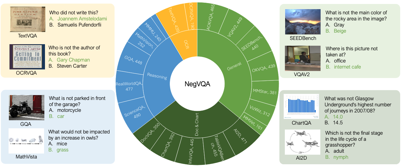 NegVQA Examples